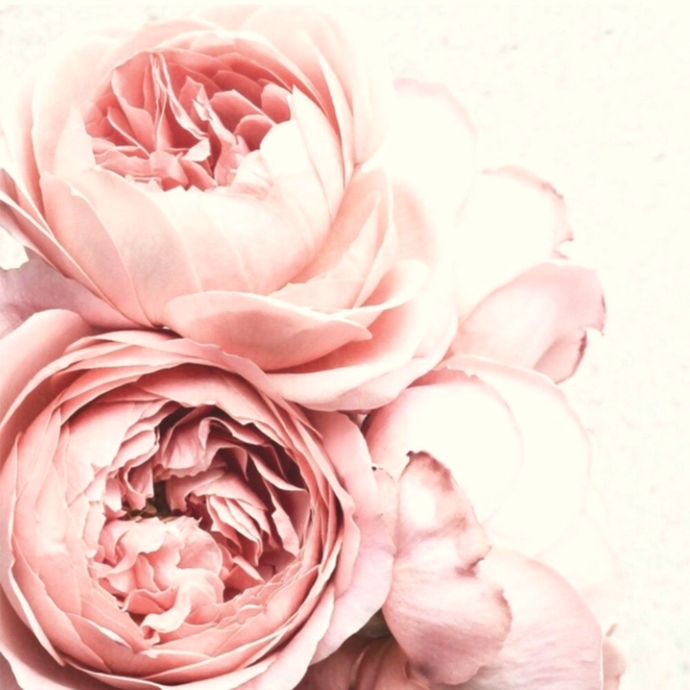 Meet your Posher, Robyn